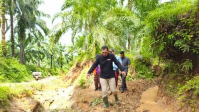 Respon Cepat Jalan Amblas Desa Talang Rami, Bupati Seluma Teddy Rahman Turun Langsung Gotong Royong