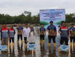 Menjaga Alam, Mendidik Generasi: Langkah Berkelanjutan PTC untuk Pesisir Bengkulu ‎