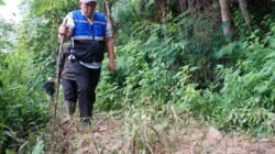 Walikota Pagaralam Ludi Oliansyah Tegaskan Bahaya Penebangan Pohon di Jalur Perkebunan Teh Gunung Dempo