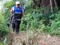 Walikota Pagaralam Ludi Oliansyah Tegaskan Bahaya Penebangan Pohon di Jalur Perkebunan Teh Gunung Dempo