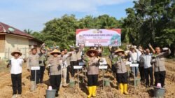 Polres Mukomuko Gelar Penanaman Uwi Ungu Dukung Program Ketahanan Pangan