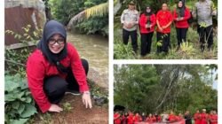 Merawat Pertiwi, Cegah Abrasi Sungai, DPC PDIP Lebong Lakukan Penghijauan Lahan Kritis