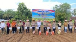 Bupati Benteng Dan Kapolda Penanaman Jagung Serentak Kuartal 1 Tahun 2026
