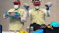 Rumor Aliran Dana Suap Beredar, Publik Minta Fakta Dibuka Terang