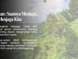 Banjir Beruntun dan Ancaman Kemarau, Hutan Bengkulu Jadi Benteng Terakhir Hadapi Krisis Iklim