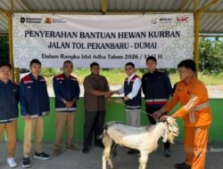 Meningkat Setiap Tahun, Hutama Karya Salurkan Hewan Kurban pada Momentum Idul Adha 1447 H
