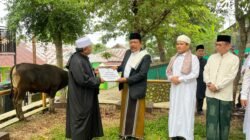 Pemprov Bengkulu Berbagi Kurban, Dua Ekor Sapi Diserahkan ke Masjid Baitul Izzah