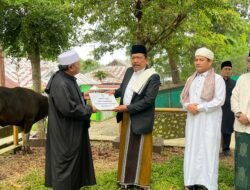 Pemprov Bengkulu Berbagi Kurban, Dua Ekor Sapi Diserahkan ke Masjid Baitul Izzah