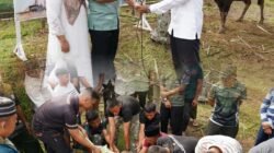 Idul Adha 1447 H, Korem 041/Gamas Potong 12 Ekor Hewan Kurban