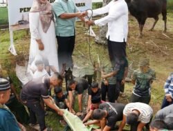 Idul Adha 1447 H, Korem 041/Gamas Potong 12 Ekor Hewan Kurban