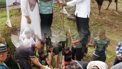 Idul Adha 1447 H, Korem 041/Gamas Potong 12 Ekor Hewan Kurban