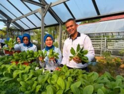 Lanal Bengkulu Panen Sayur Hidroponik dan Labu Madu, Perkuat Ketahanan Pangan Nasional
