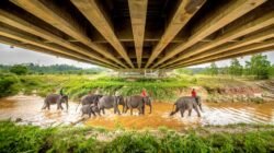 Hutama Karya Kukuhkan Posisi Sebagai BUMN Engineering & Construction Terdepan dalam Fortune Southeast Asia 500 Tahun 2026
