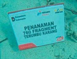 Pertamina Patra Niaga Regional Sumbagsel Tanam 760 Bibit Terumbu Karang, Jaga Ekosistem Pulau Tikus Bengkulu