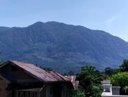 Misteri : Kisah Nyata Hilangnya Pencari Batu Akik Red Rafflesia di Hutan Tik Sirong Sampai Sekarang