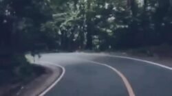 Misteri : Kisah Nyata Rombongan Mahasiswa PTN Negeri Yang Diganggu Makhluk Astral Saat Lewati Liku Sembilan Pada Malam Hari