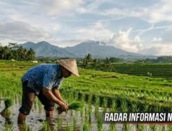 Nilai Tukar Petani Bengkulu Naik, Aktivitas Transportasi Laut dan Udara Tunjukkan Tren Positif
