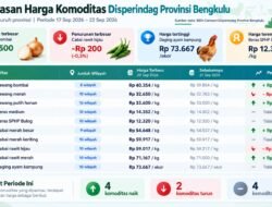 Harga Komoditas Pangan Bengkulu Bergerak Fluktuatif, Bawang Bombai Naik Rp500 per Kilogram