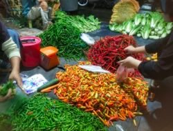 Ekonomi Sulit, Harga Cabe di Pasar Panorama Tembus Rp 80.000/Kg : “Emak Emak” Bengkulu Jadi Meradang