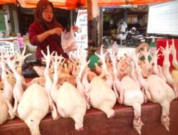 Harga Bapok Naik Dan Bunga Cicilan Semakin Bertambah : Realita Kehidupan Masyarakat Menengah di Indonesia Semakin Tertekan
