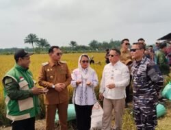 Kepala Perwakilan BI Bengkulu Wahyu Yuwana Hidayat Bersama Senator Destita Hadiri Panen Raya Padi di Seluma